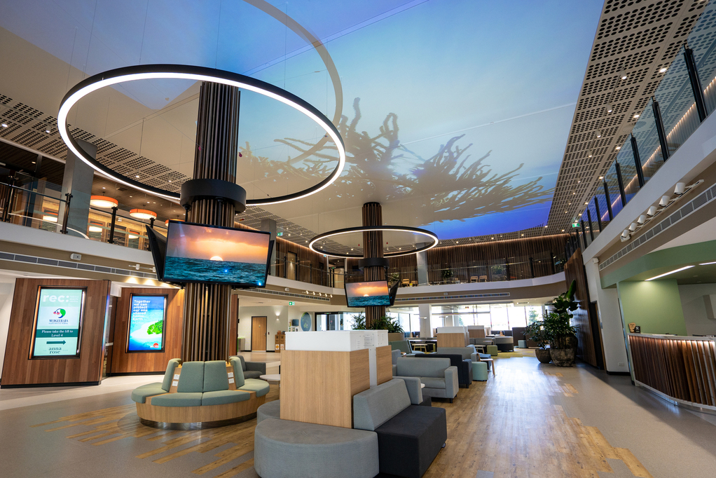 tvONE TAFE QLD 5 Videopro 50 1 75 3 49